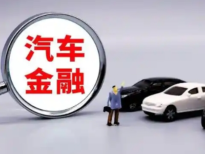 开发区押车贷款不是本人可以么?